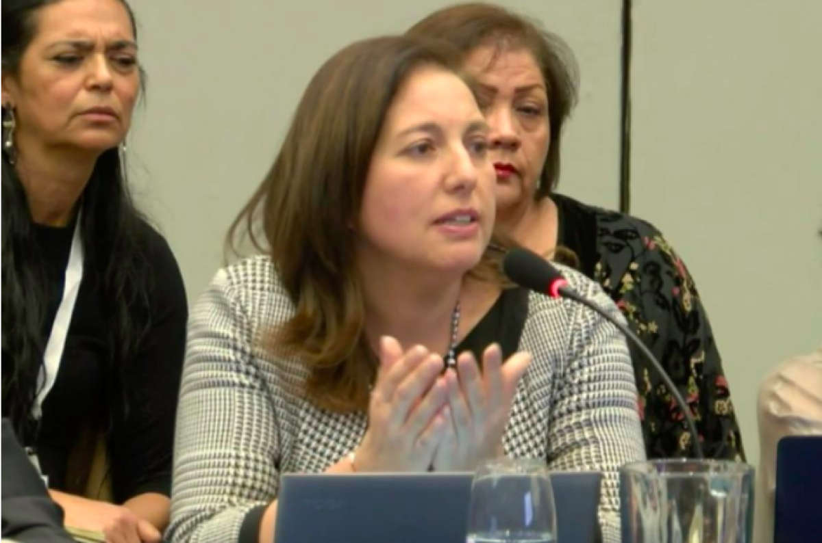 Paulina Vodanovic expone en audiencia pública de la CIDH en Ecuador