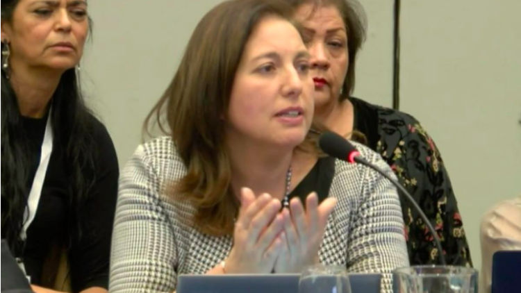 Paulina Vodanovic expone en audiencia pública de la CIDH en Ecuador